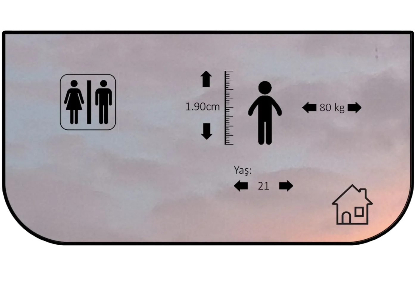 Kurulum ekranı tasarımı: cinsiyet, boy, kilo ve yaş girişi.